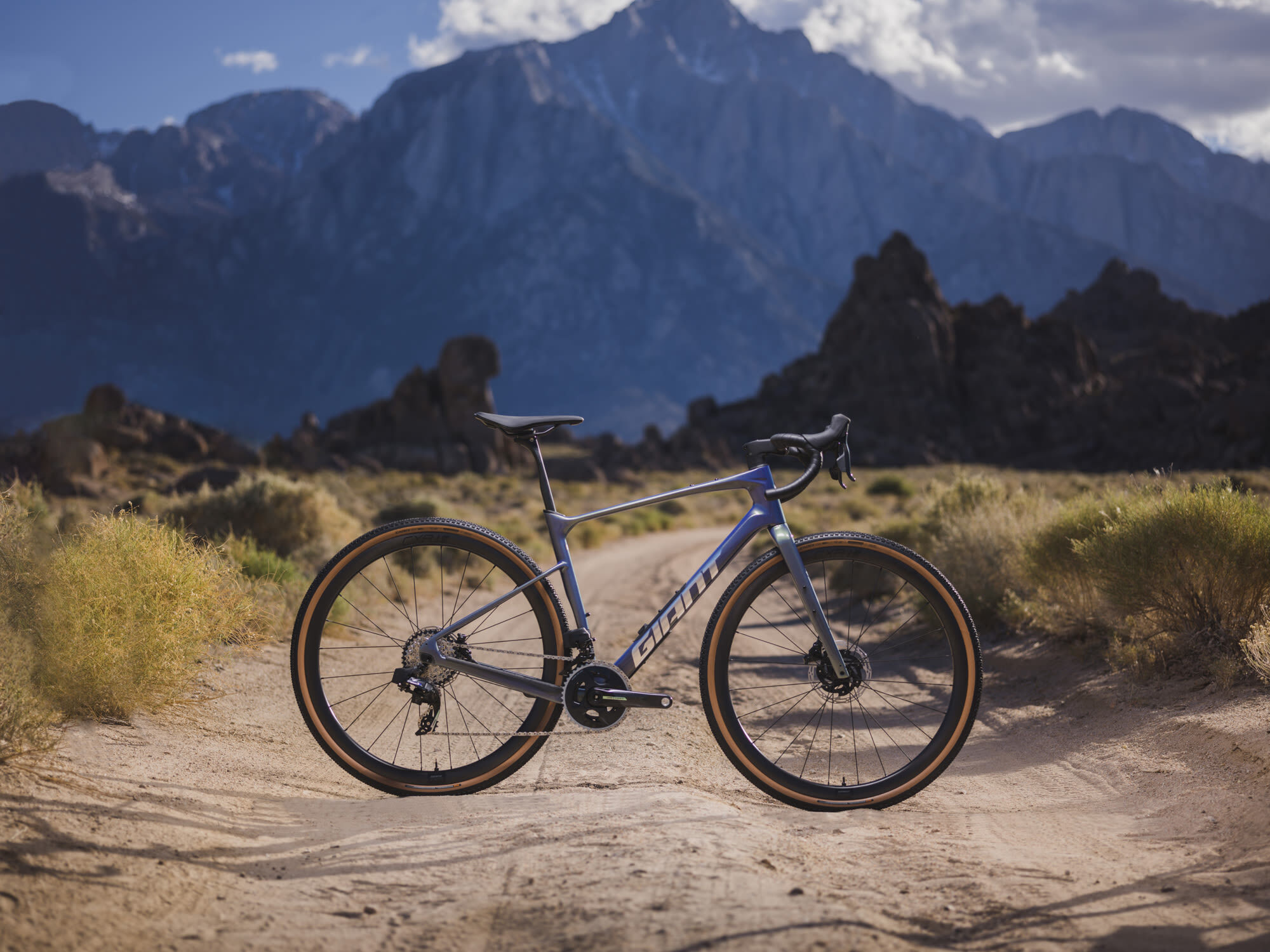 Revolt velo online