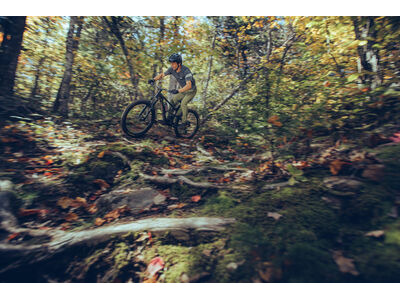 Giant Trance Advanced Pro 29 1 click to zoom image