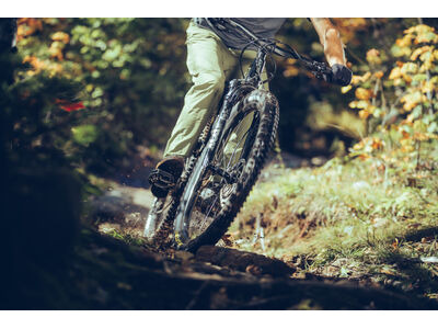 Giant Trance Advanced Pro 29 1 click to zoom image