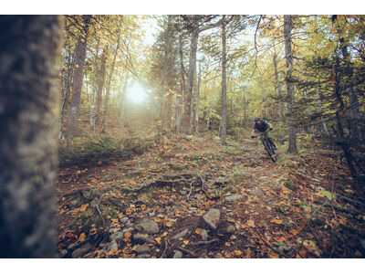 Giant Trance Advanced Pro 29 1 click to zoom image