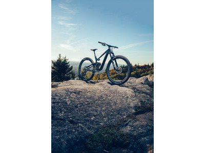 Giant Trance Advanced Pro 29 1 click to zoom image