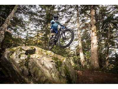 Giant Reign Advanced Pro 1 click to zoom image