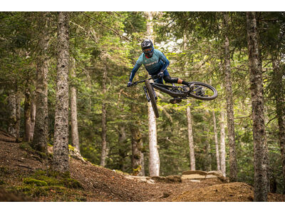 Giant Reign Advanced Pro 1 click to zoom image