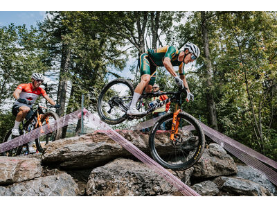 Giant Anthem Advanced SL SE World Champion Frameset click to zoom image