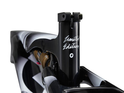 Giant Anthem Advanced SL SE World Champion Frameset click to zoom image