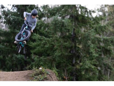 Giant STP 20 FS Teal click to zoom image