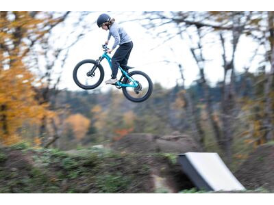 Giant STP 20 FS Teal click to zoom image