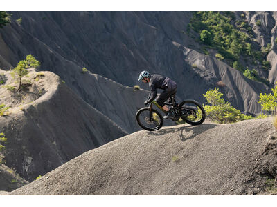 Giant Reign E+ 0 Pro (625Wh Version) click to zoom image