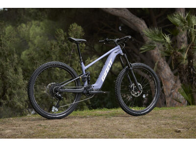 Giant Stance E+ 2 click to zoom image