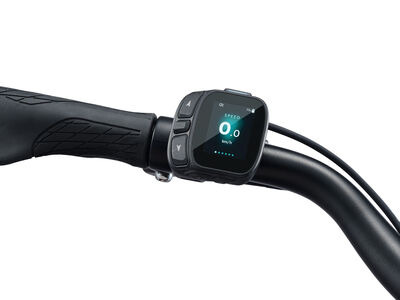 Giant NewTour E+ 3 DD Kelp Forest click to zoom image