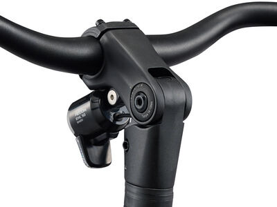 Giant NewTour E+ 3 LST Kelp Forest click to zoom image