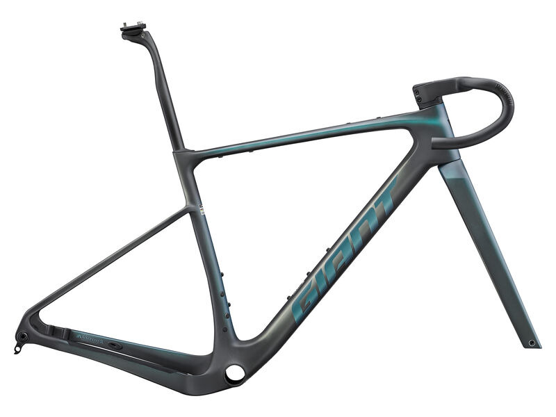 Giant Revolt Advanced SL Frameset click to zoom image