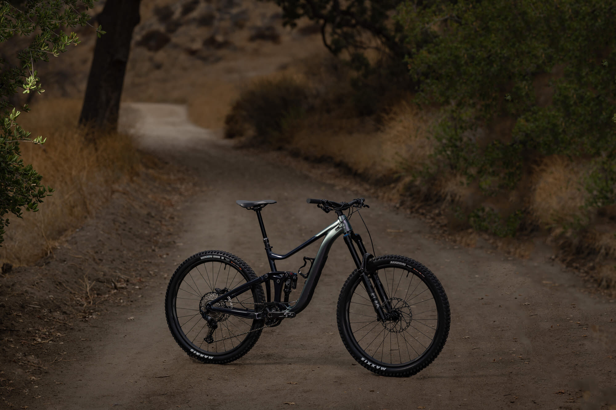 2020 giant reign 1 cheap