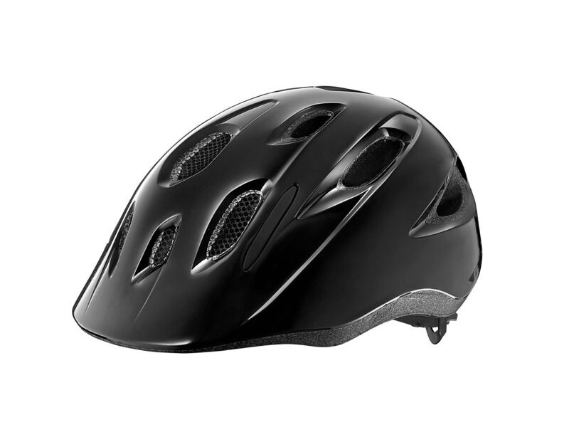 Giant Hoot ARX Kids Helmet Gloss Metallic Black click to zoom image