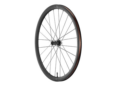 Giant SLR 1 36 Disc Wheelsystem Front click to zoom image