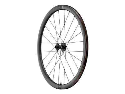 Giant SLR 2 36 Disc Wheelsystem Front click to zoom image