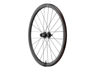 Giant SLR 2 36 Disc Wheelsystem Rear click to zoom image