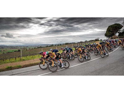 Vittoria Corsa Pro 25-28" Black Tan G2.0 Tubular Tyre click to zoom image