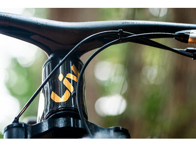 LIV Pique Advanced SL 0 Raw Carbon / Steampunk click to zoom image