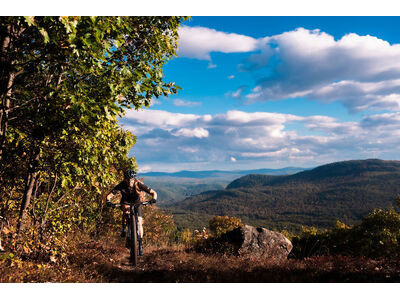 LIV Pique Advanced SL 0 Raw Carbon / Steampunk click to zoom image