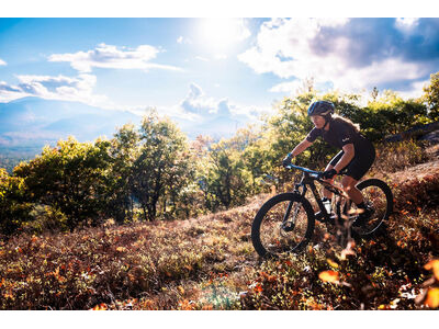 LIV Pique Advanced SL 0 Raw Carbon / Steampunk click to zoom image