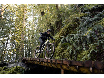 LIV Embolden Pale Moss click to zoom image