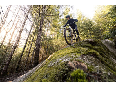 LIV Embolden Pale Moss click to zoom image