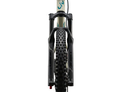 LIV Embolden Pale Moss click to zoom image