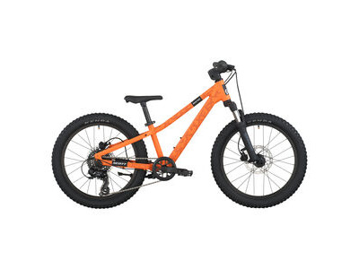 Scott Roxter 200 vibrant orange